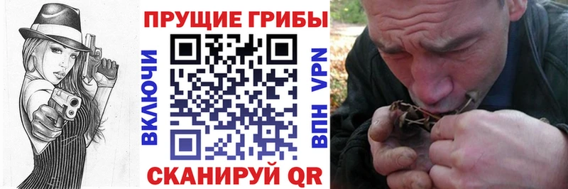 гидра зеркало  купить наркотик  Таштагол  Псилоцибиновые грибы мухоморы 